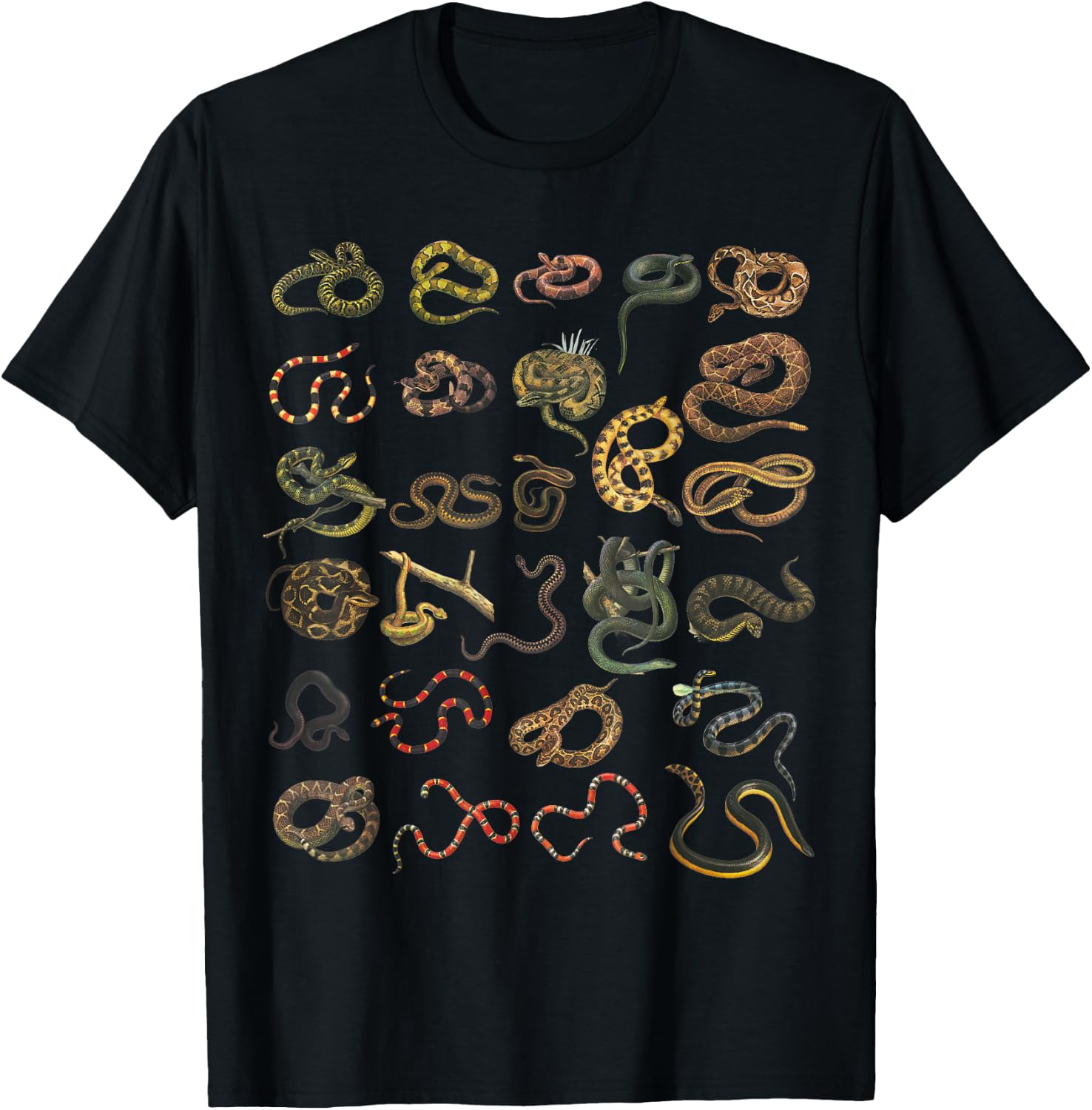 Different Types Of Snakes Educational Herpetologist Serpent T-Shirt - T-Shirt | Black