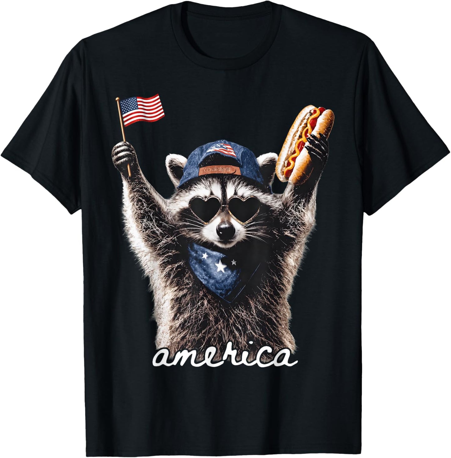 America Meme Raccoon Hot Dog 250 Years 1776 2026 4th of July T-Shirt - T-Shirt | Black