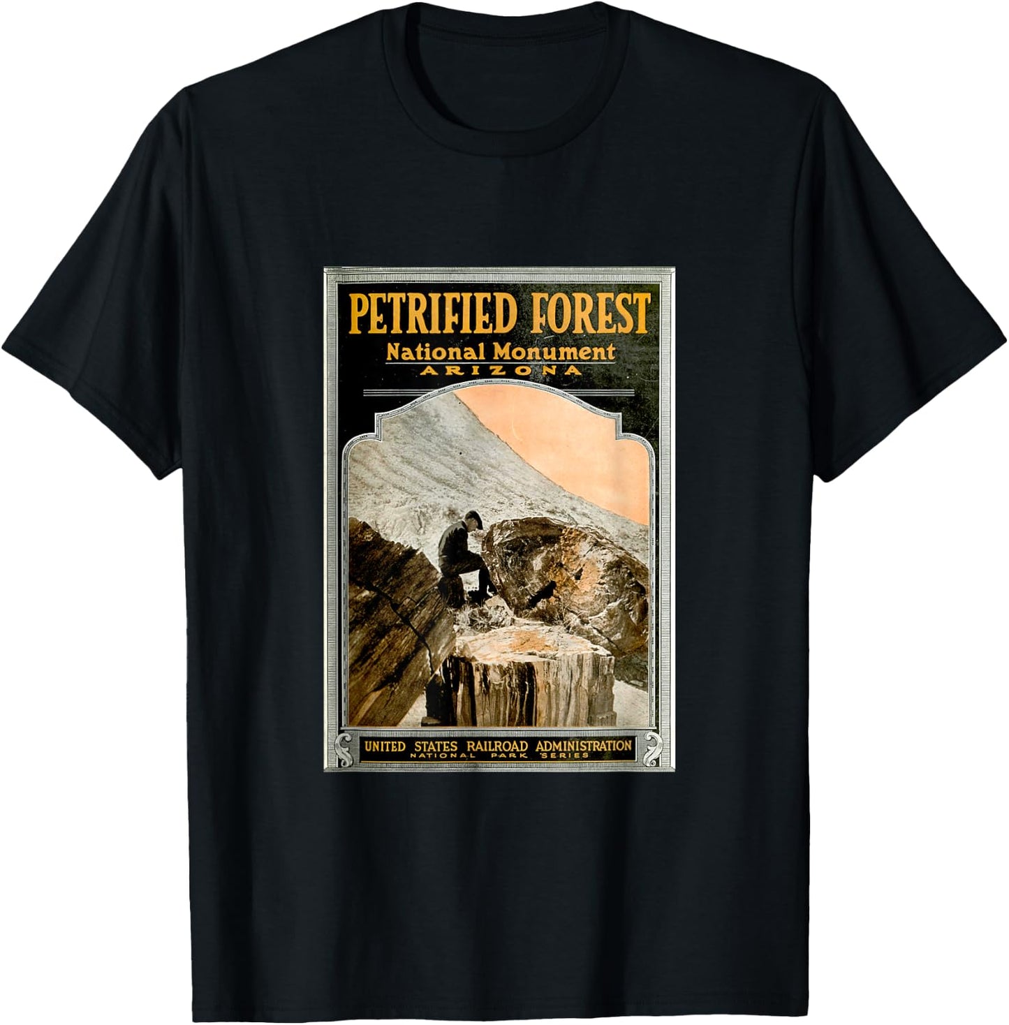 Petrified Forest National Park T Shirt T-Shirt - T-Shirt | Black