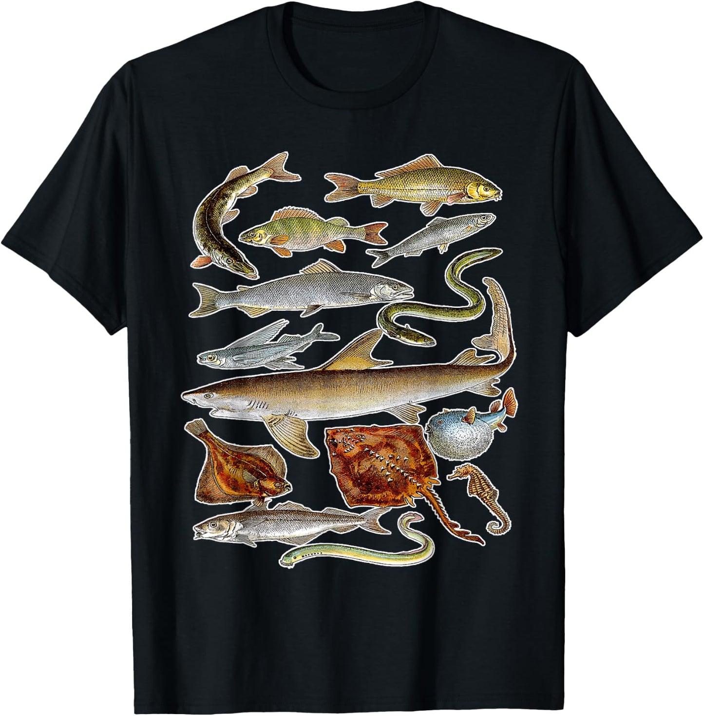 Sea Animals - Fish Sharks and Eels Illustration T-Shirt - T-Shirt | Black