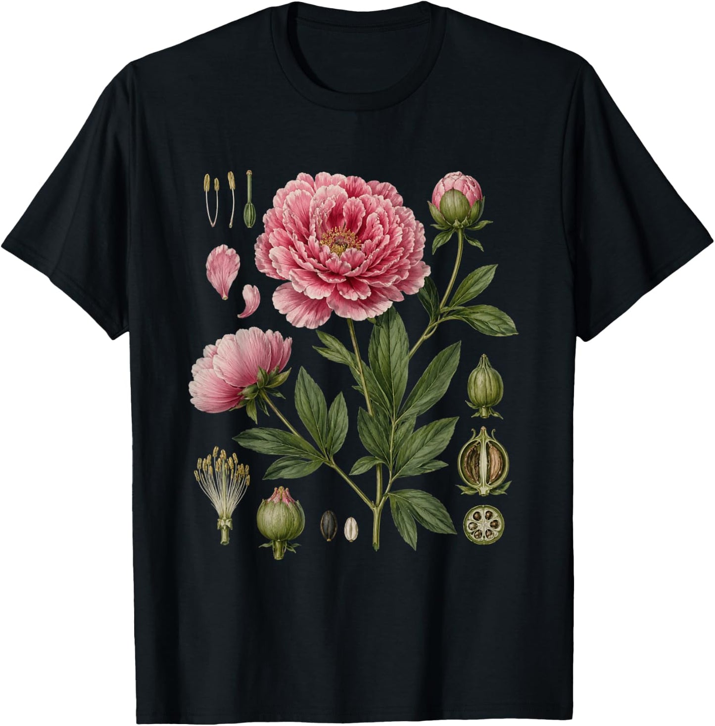 Peony Anatomy Botanical Illustration Women Flower Peony T-Shirt - T-Shirt | Black