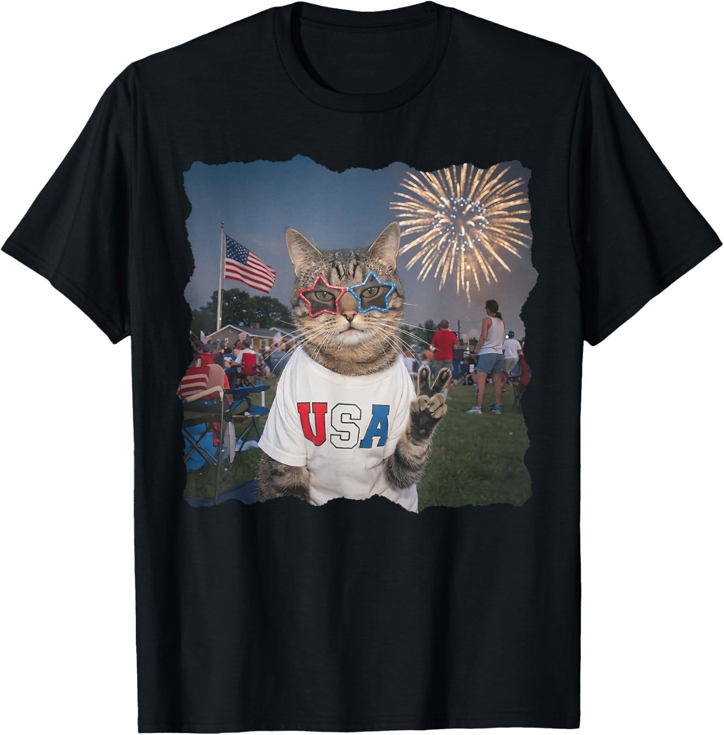 4th of July USA 250 Years Fireworks Funny Patriotic Cat Meme T-Shirt - T-Shirt | Black