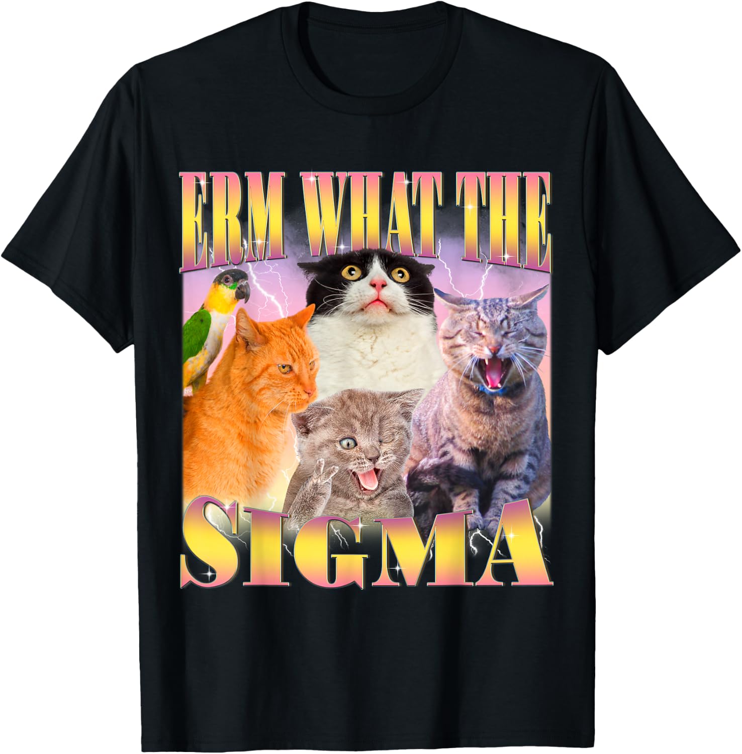 Cat Erm, What The Sigma? Funny Meme Ironic Humour Specific , Black, S T-Shirt - T-Shirt | Black